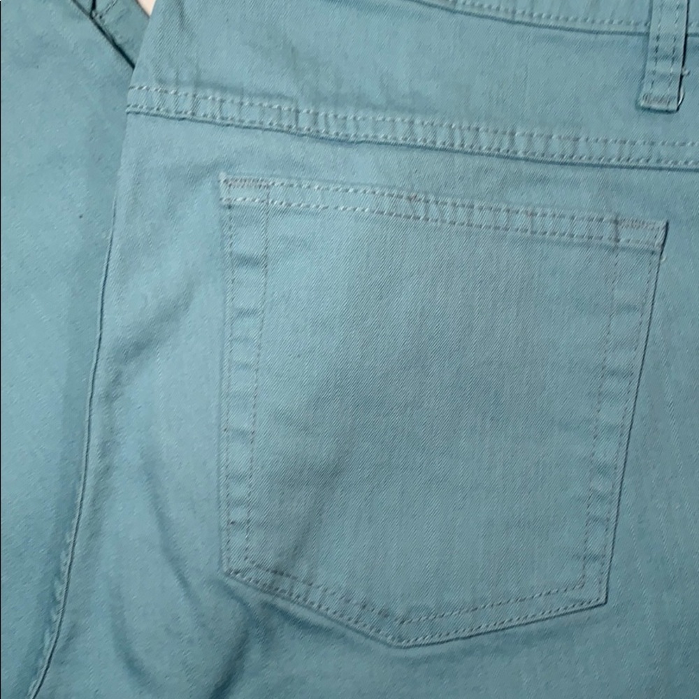 Sage Green cropped pants